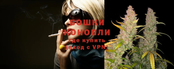 гидра Бугульма