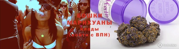 спиды Богородицк