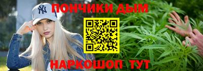 индика Гай