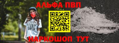 индика Гай