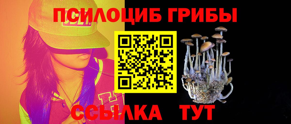 Галлюциногенные грибы Psilocybine cubensis  Вход с VPN  Галлюциногенные грибы мицелий  наркошоп  Нерюнгри 