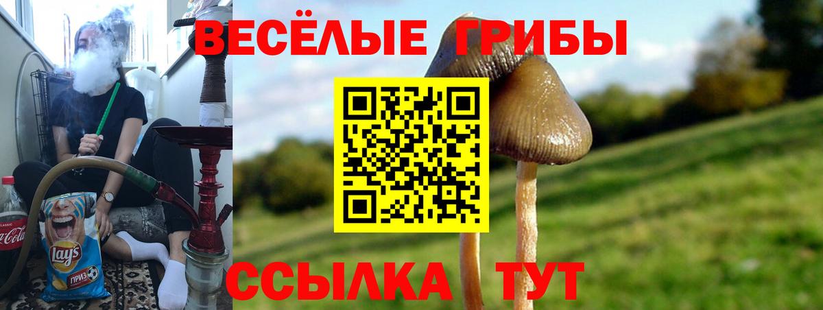 Галлюциногенные грибы ЛСД Нерюнгри