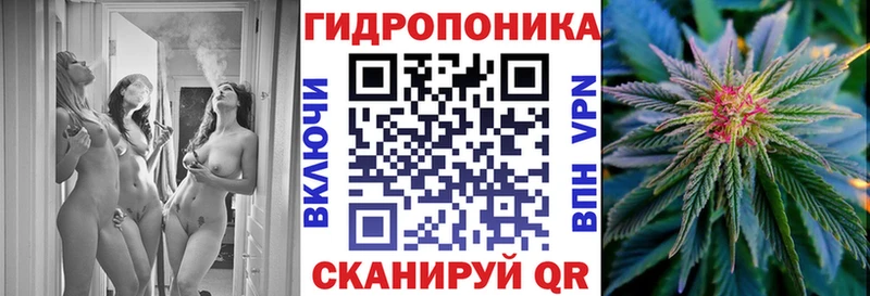 Конопля Amnesia shop какой сайт Нерюнгри купить наркоту